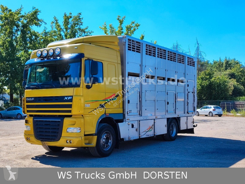 شاحنة DAF 410 SC Menke Doppelstock