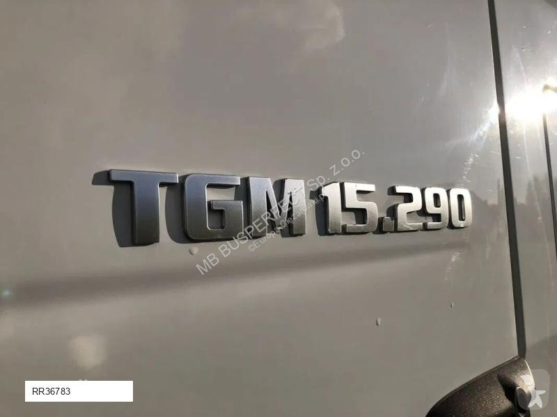Vrachtwagen MAN TGM 15.290