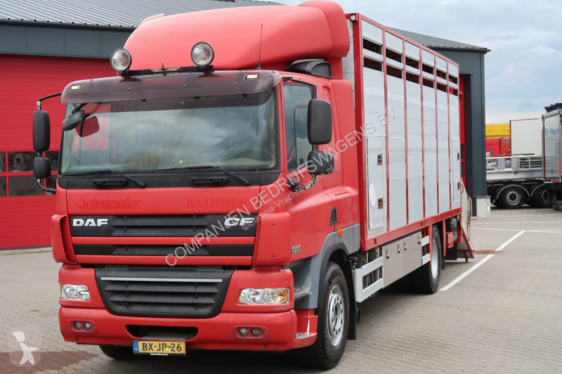شاحنة DAF Daf+Jumbo Muller Box complete