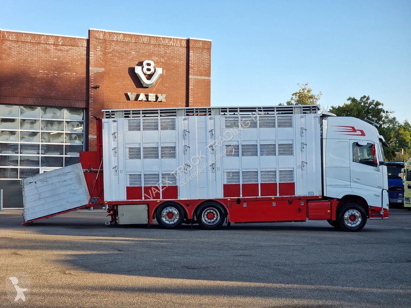 Kamion Volvo 13500 XL 6x2 - Pezzaioli livestock...