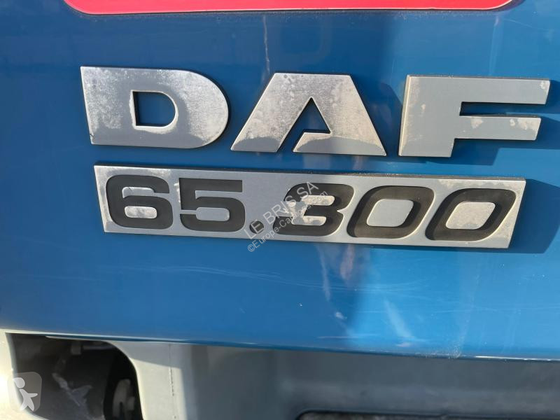 Camion DAF 300