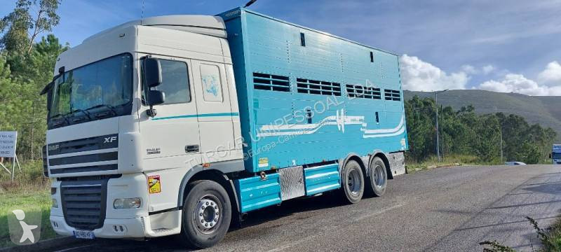 شاحنة DAF