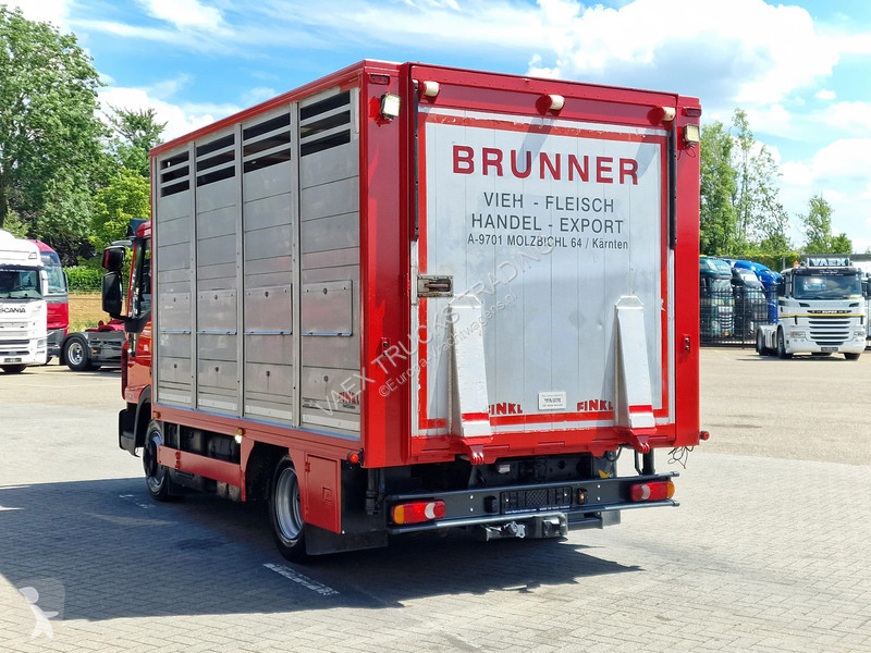 شاحنة Iveco 75.190 - Finkl Livestock 1 deck -...