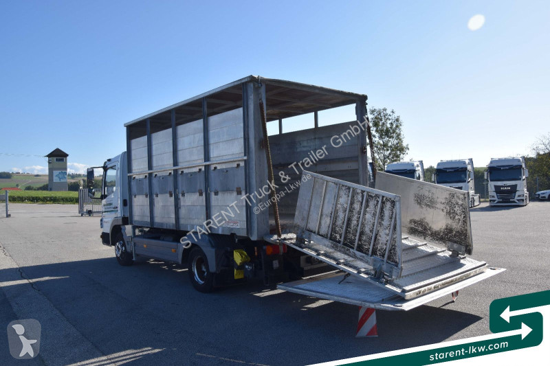 Lastbil Mercedes 815 BDF-Viehaufbau + Kühlaufbau