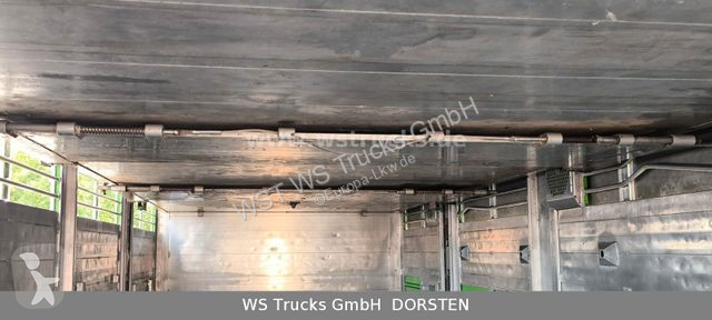 شاحنة MAN TGX XL KABA  3 Stock Viehtransporter