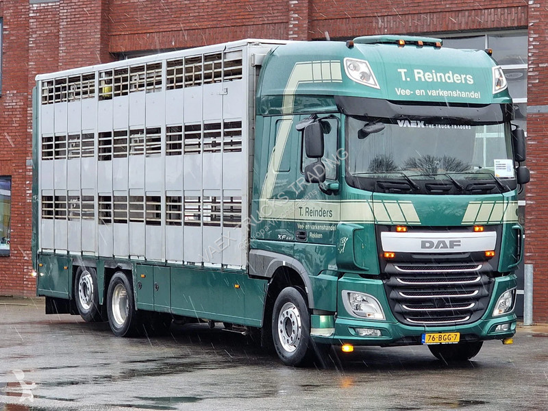 شاحنة DAF 440 SuperSpaceCab 6x2*4 - Cuppers...