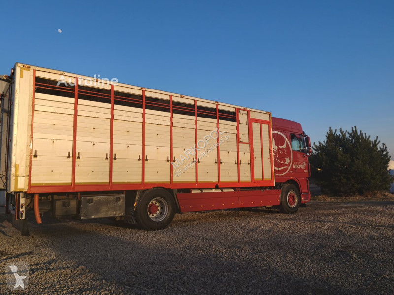 Камион DAF XF