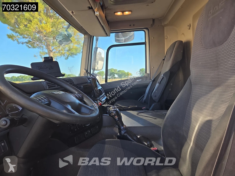 شاحنة DAF 290 4X2 Gas Cambio Manual Retarder AC...