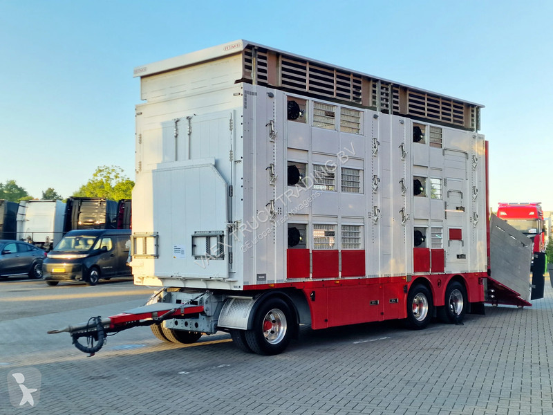 Kamion Volvo 13500 XL 6x2 - Pezzaioli livestock...