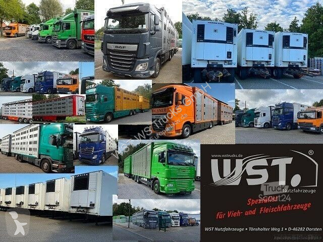 Camion DAF XF 410 SC Menke Doppelstock
