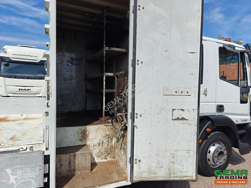 شاحنة Iveco 140E25 EuroCargo 4x2 Double Cab...