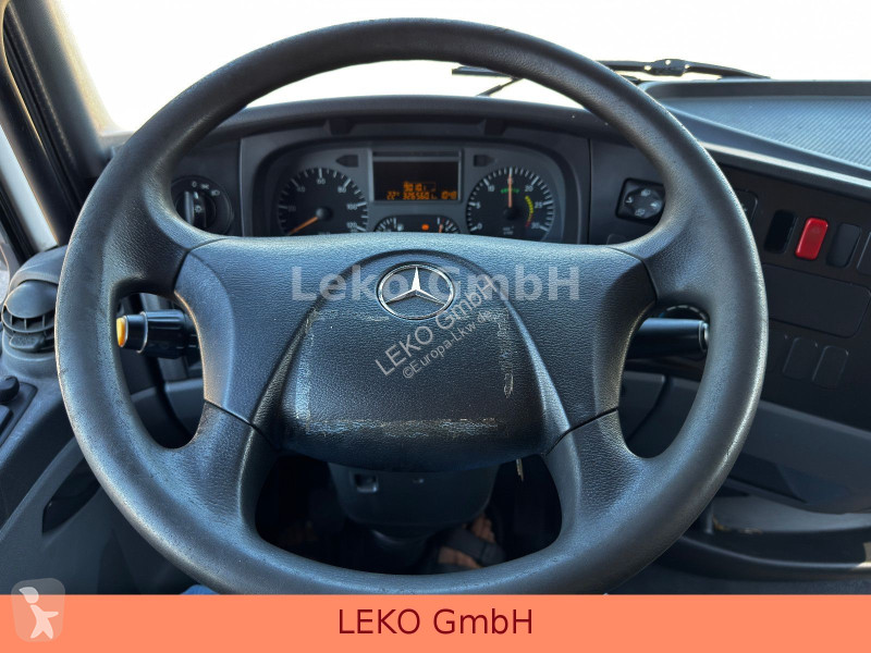 Camion Mercedes 815