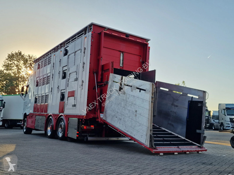 Kamion Volvo 13500 XL 6x2 - Pezzaioli livestock...