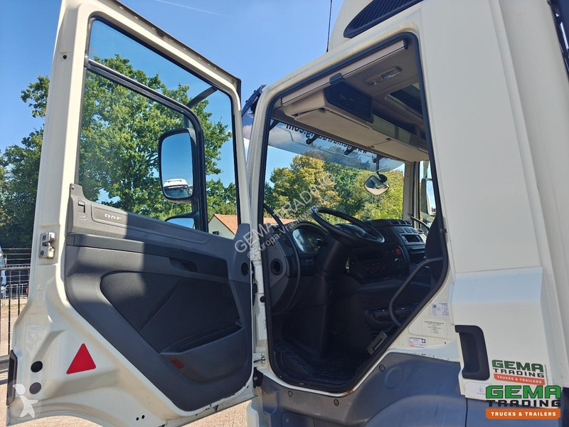 Camion DAF 290 FA 4x2 Day Cabin Euro 6A - 7.8m...