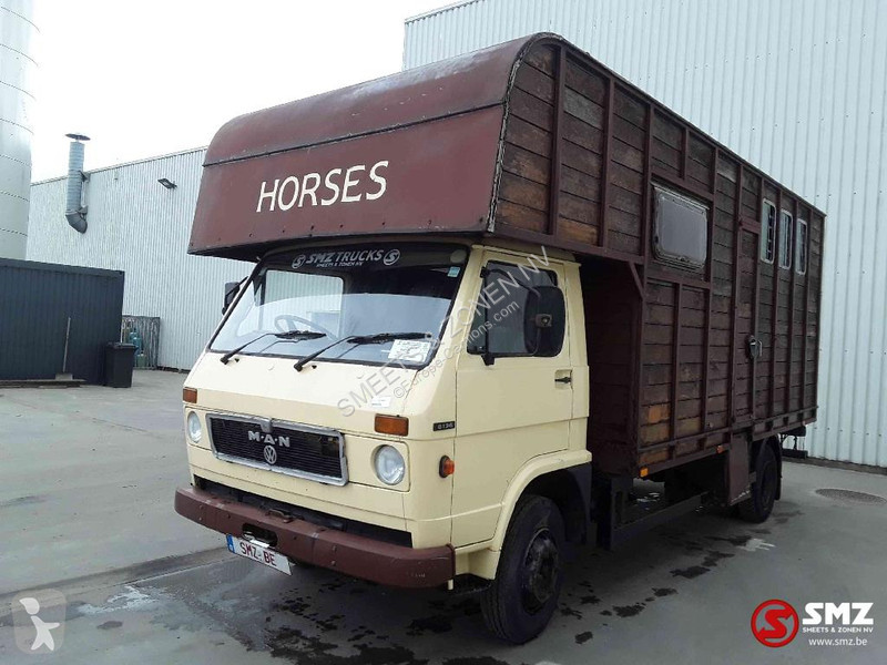 Camion MAN