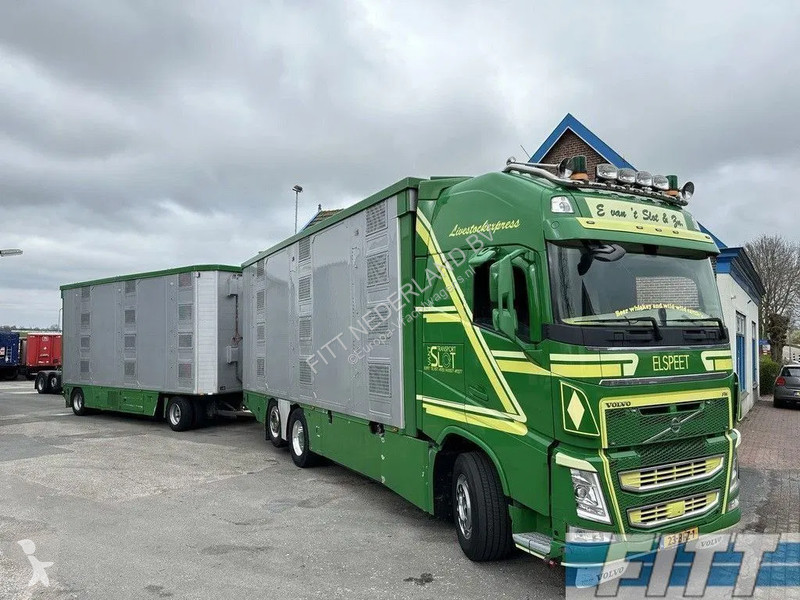 Van Chevaux Occasion Truck Van Bovin Occasion Camion Volvo