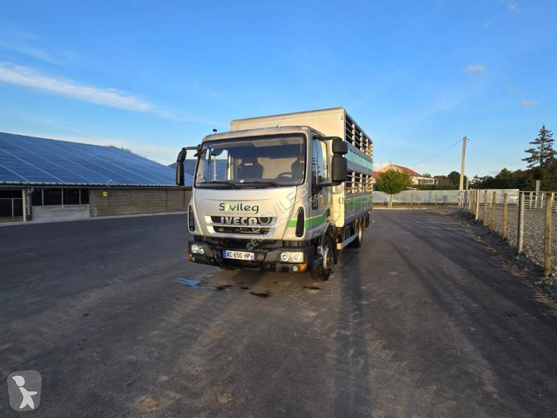 Camion Iveco