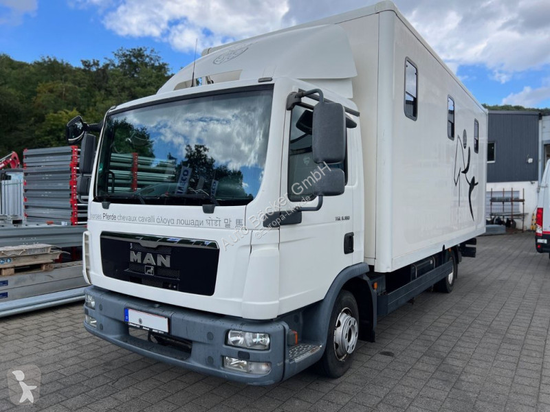 Camión MAN 8.180 4x2 FG Pferdetransporter (3er)