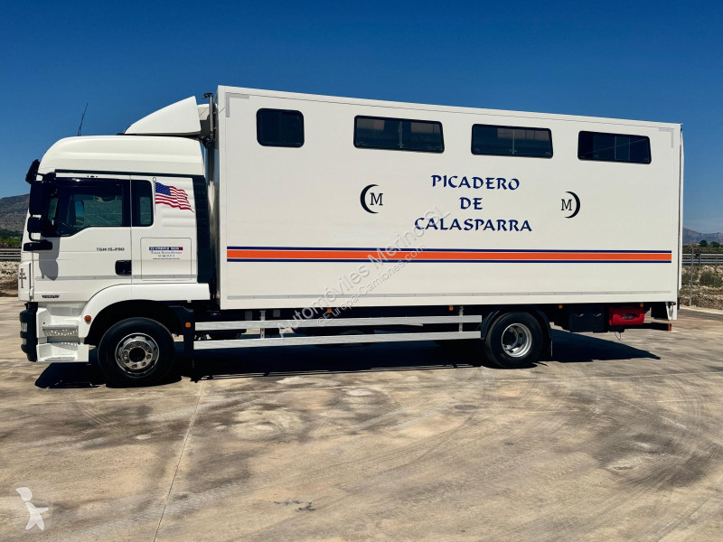 Camión MAN TGM 15.290