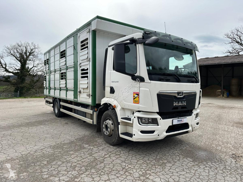 Camion MAN 15.2 TG