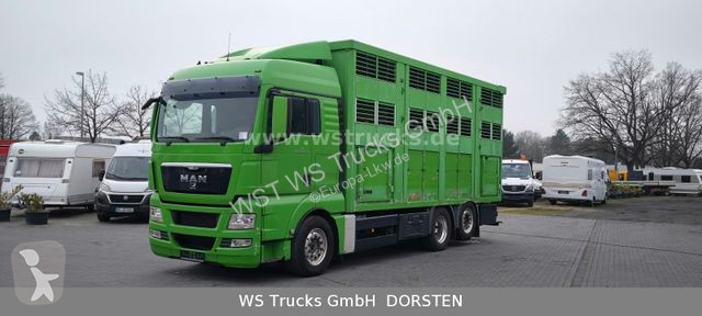 شاحنة MAN TGX XL KABA  3 Stock Viehtransporter