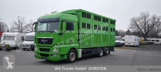 Camion MAN TGX XL KABA 3 Stock Viehtransporter