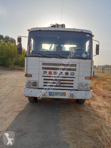 Camion Pegaso