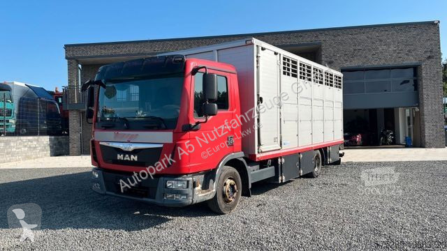 Camion MAN TGL 10.220 Viehtransporter Rampe...