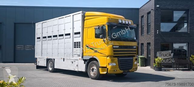 Camion DAF XF 410 SC Menke Doppelstock