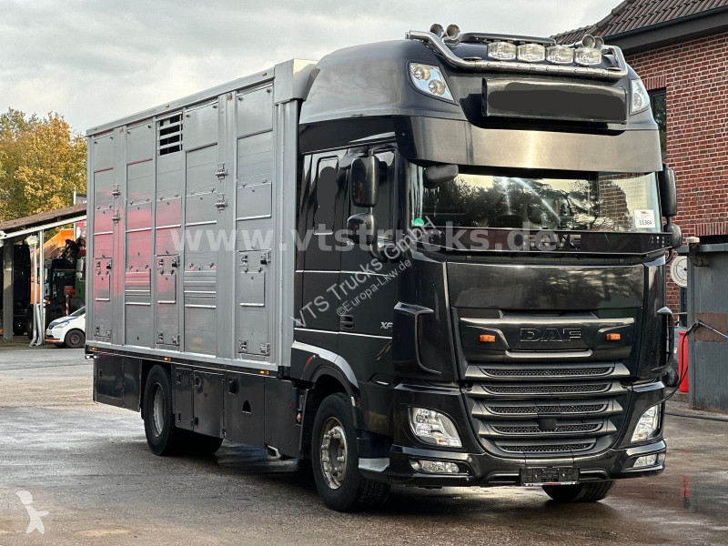 شاحنة DAF 530 4x2 Finkl 2.Stock Viehaufbau