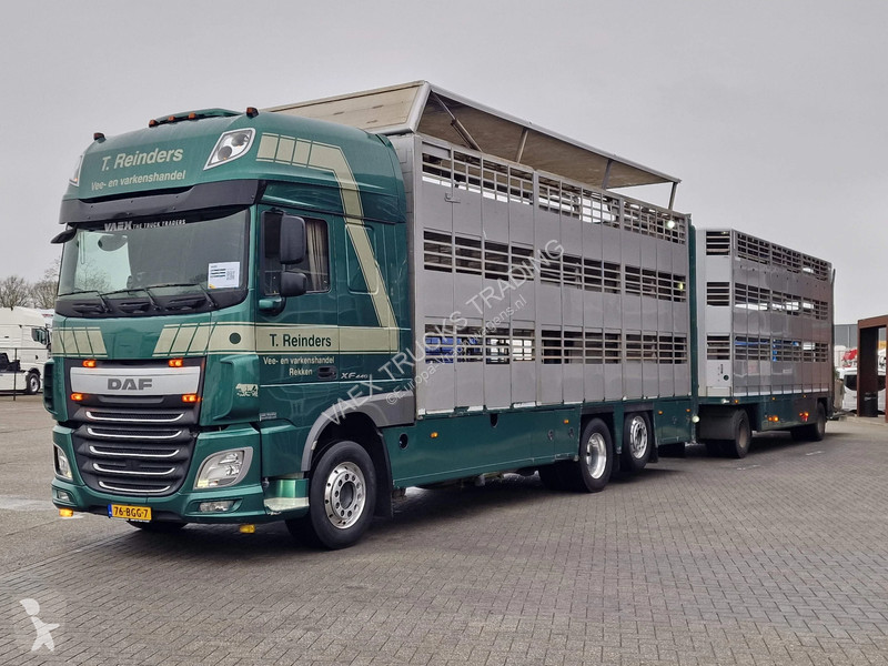 شاحنة DAF 440 SuperSpaceCab 6x2*4 - Cuppers...