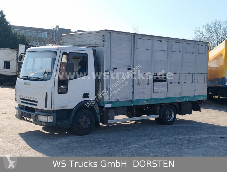 شاحنة Iveco ML 1Q Viehtransporter 1 Stock
