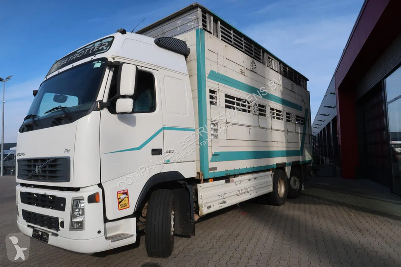 شاحنة Volvo 480  480 Cattle transport