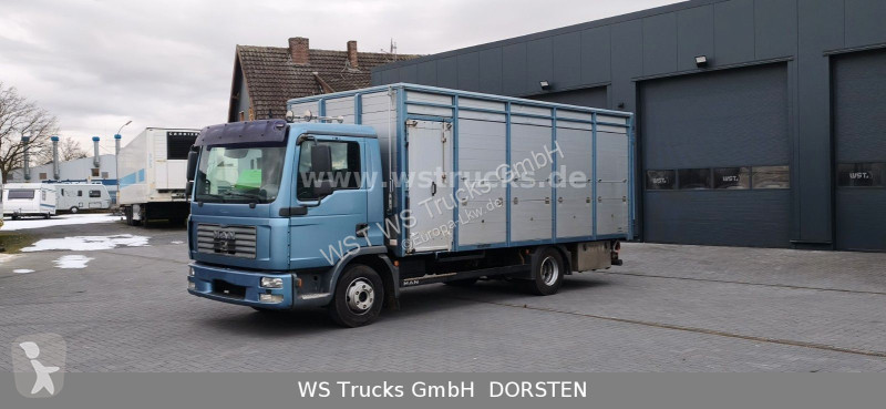 شاحنة MAN 10.210 1 Stock Viehtransporter
