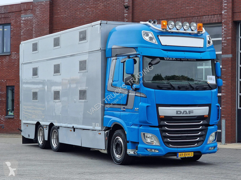 شاحنة DAF 510 6x2 SuperSpaceCab - Livestock...