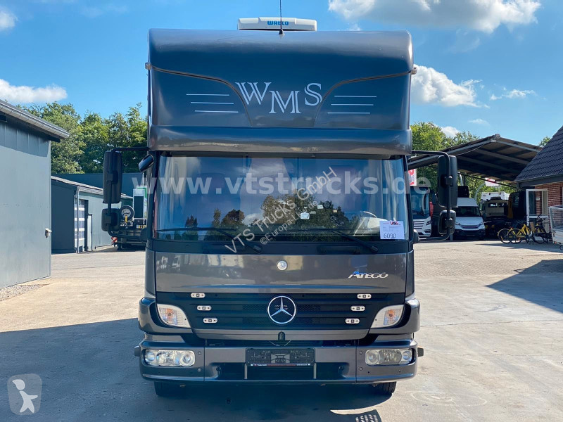 شاحنة Mercedes 818 Pferdetransporter