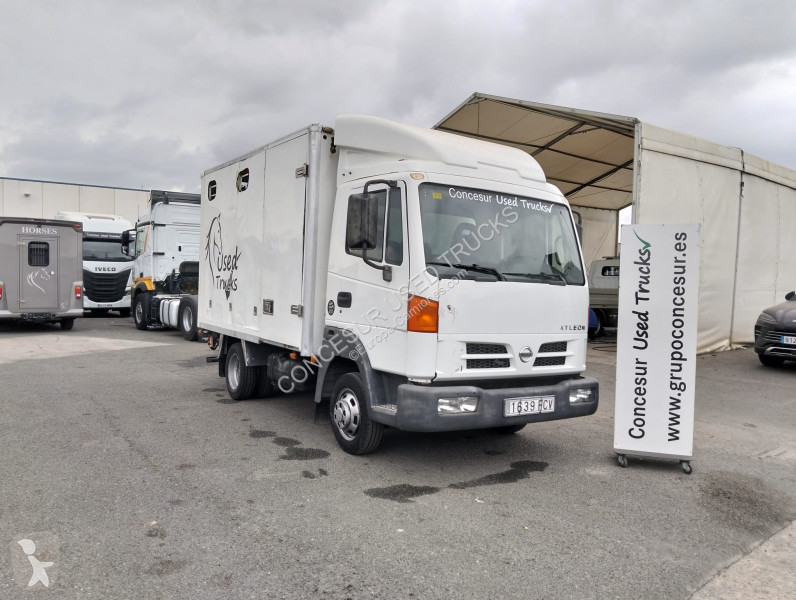 شاحنة Nissan  TRANSPORTE CABALLOS