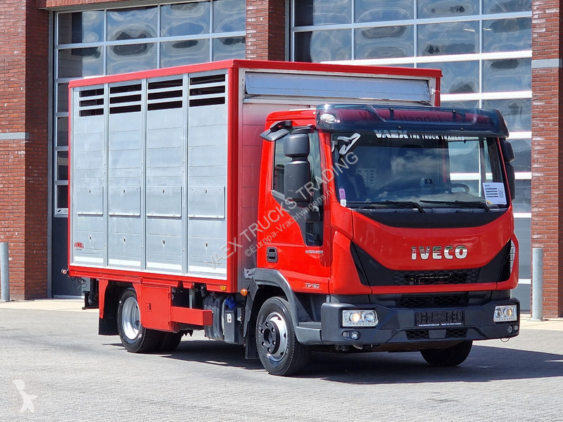 شاحنة Iveco 75.190 - Finkl Livestock 1 deck -...