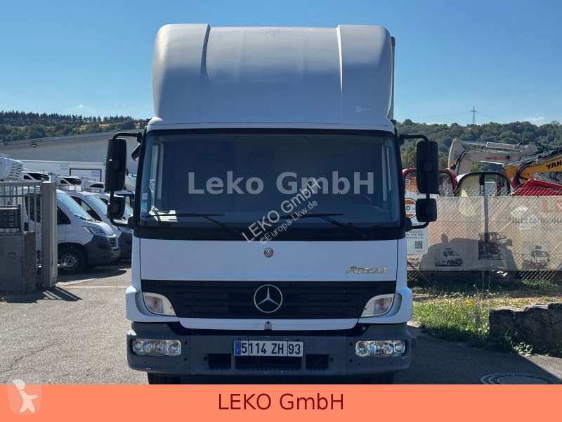 Camion Mercedes 815