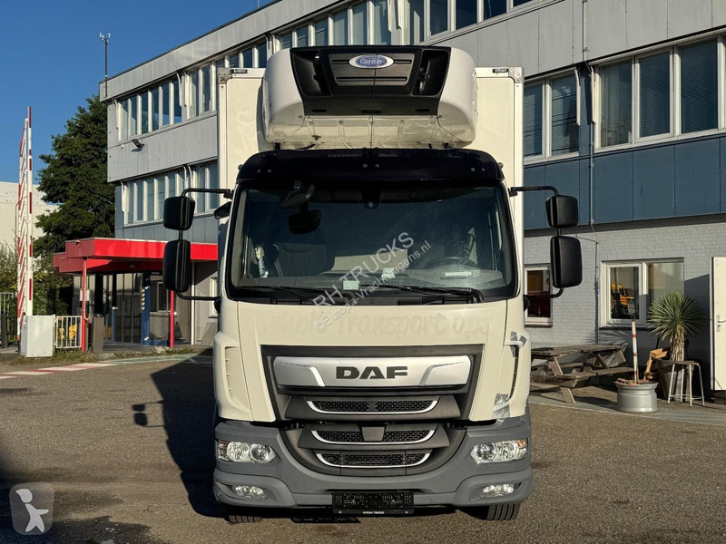 Camion DAF 290 4X2 EURO 6 - REAR DOORS DAMAGED
