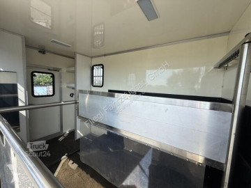 Camion van à chevaux