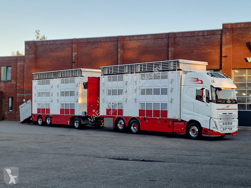 Kamion Volvo 13500 XL 6x2 - Pezzaioli livestock...