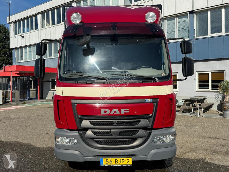 Kamion DAF LF 230 4X2 EURO 6 + DHOLLANDIA LIFT KG