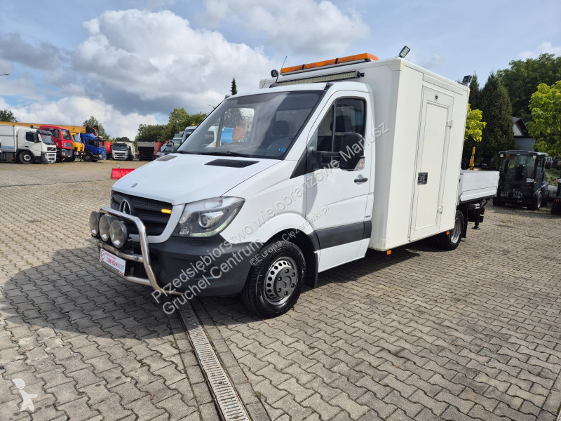 Camión Mercedes Sprinter 516 / Palfinger HDS /...
