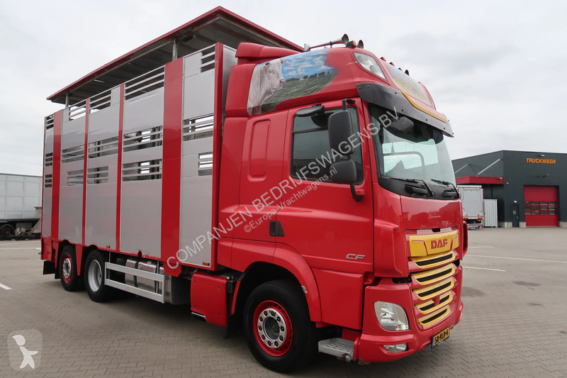 Camion DAF 480 M4SN3 - Livestock transport