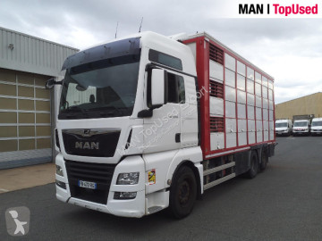 MAN livestock trailer truck