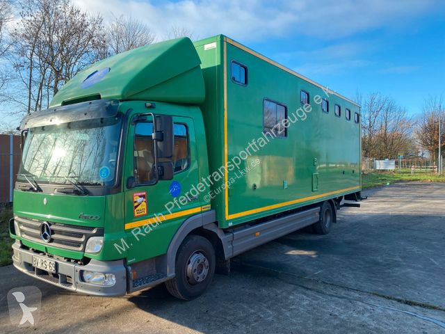 Camion Mercedes Pferdetransporter