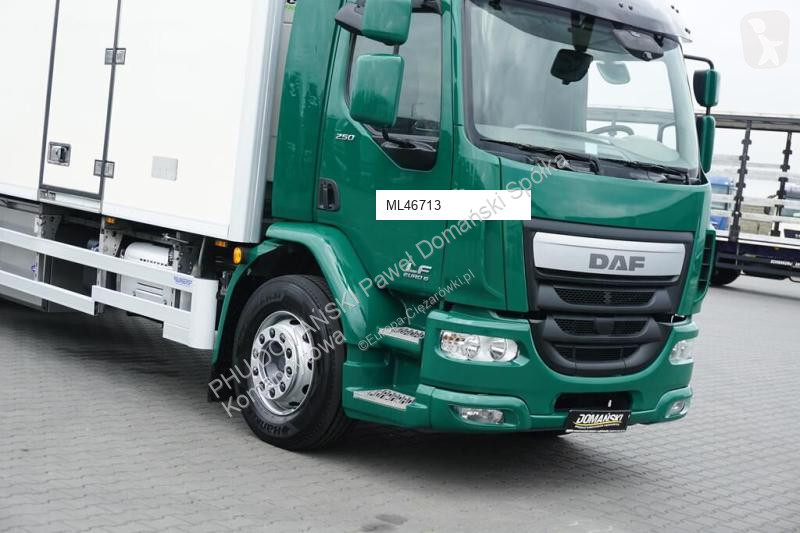 Camion DAF LF / 250 / EURO 6 / CHŁODNIA + WINDA...