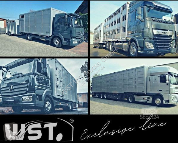 Camion DAF XF 410 SC Menke Doppelstock