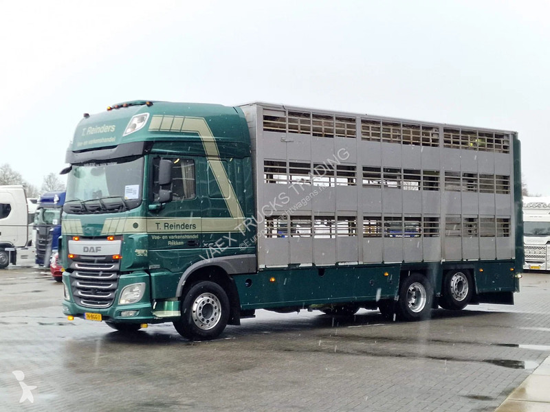 شاحنة DAF 440 SuperSpaceCab 6x2*4 - Cuppers...